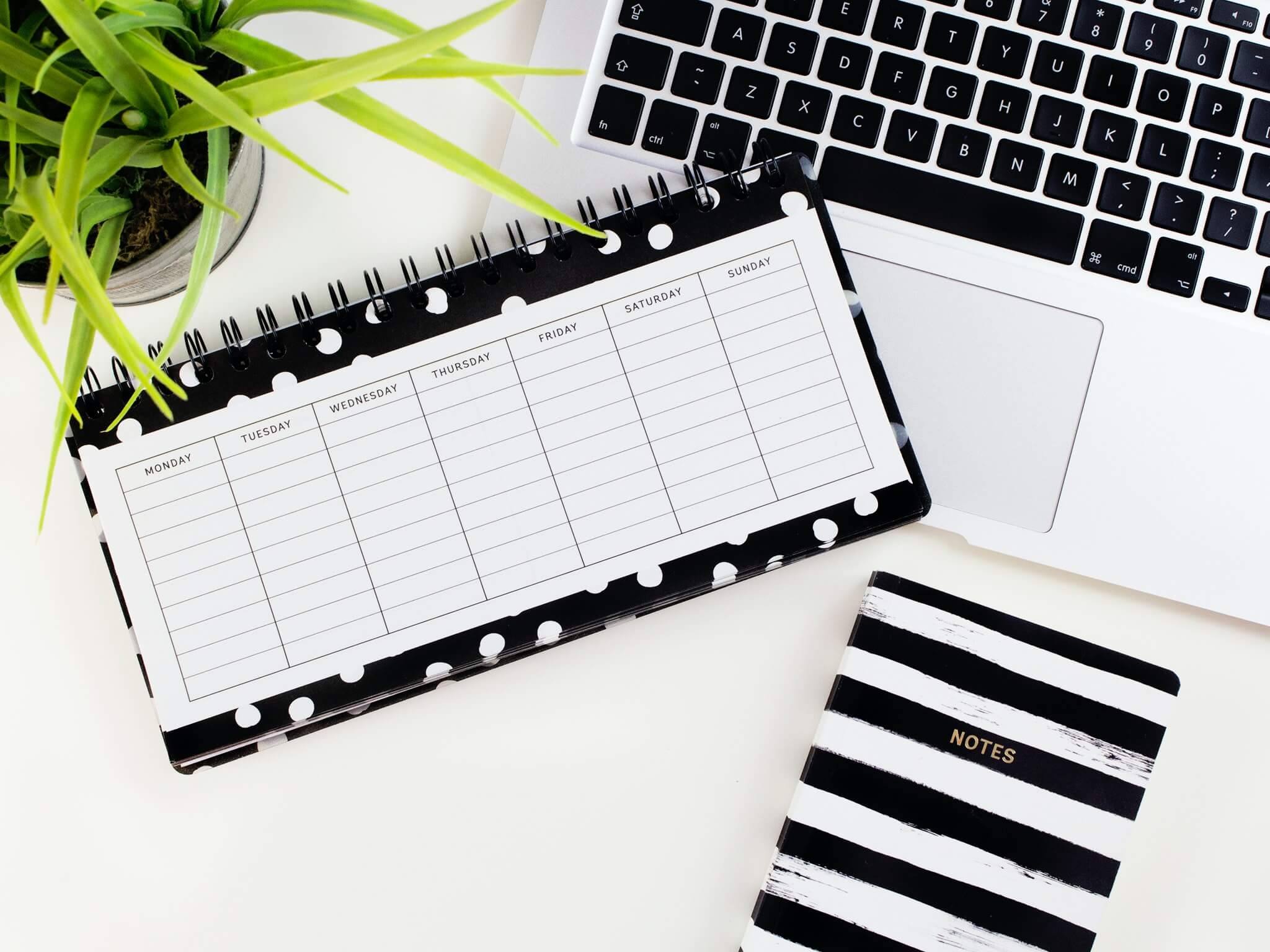 surrogacy planning and cost