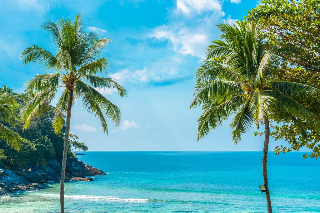 surrogacy in hawaii