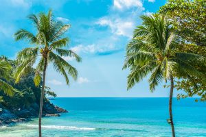 surrogacy in hawaii